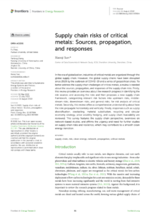 Supply Chain Risks of Critical Metals